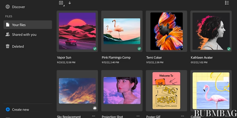 Adobe Cloud Storage Features and Functionality