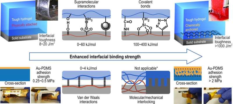 Improving the interfacial binding in flexible electronics – crucial for commercialization